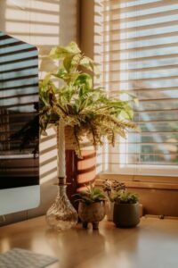 resized_93389